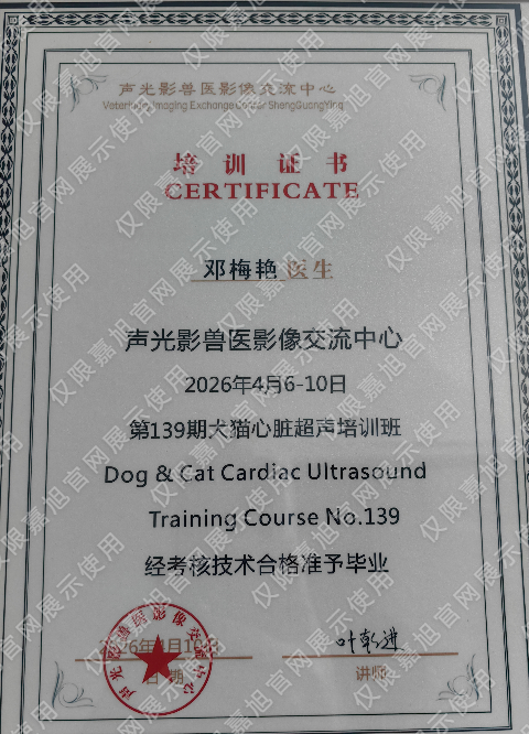 声光影兽医影像交流中心犬猫心脏超声培训班合格证书