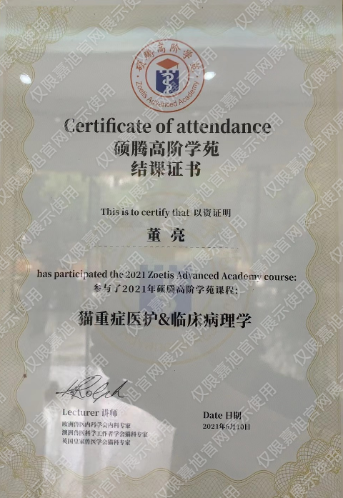 硕腾高阶学苑猫重症医护与临床病理学结课证书